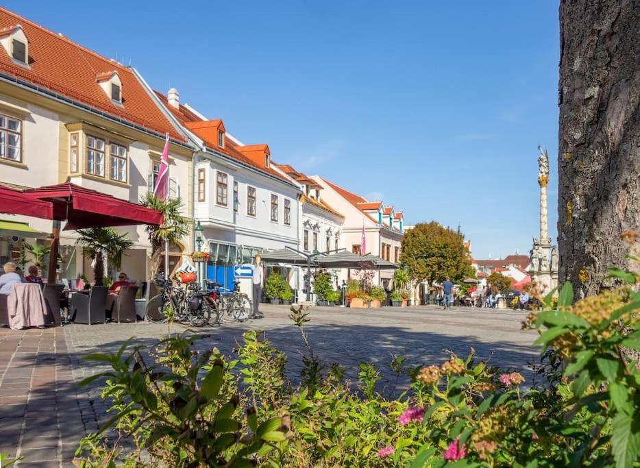 St. Antoni Suite 3 Eisenstadt Exterior foto